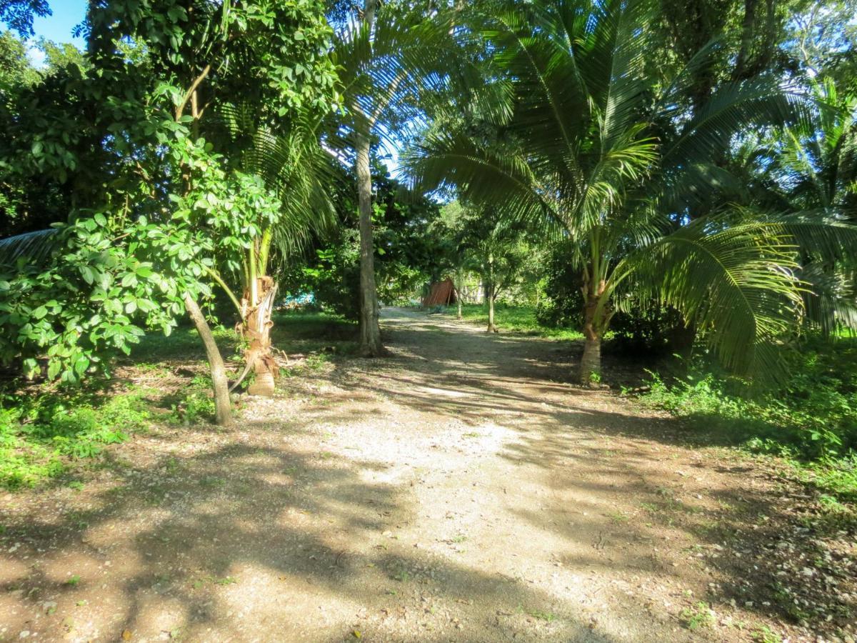 Cabanas Calakmul Villa Conhuas Exterior photo